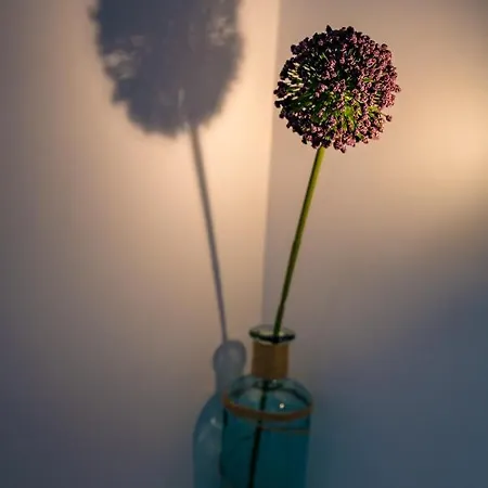 Casafina Serviced Aparthotel Mangalia